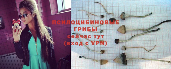 mdma Заводоуковск